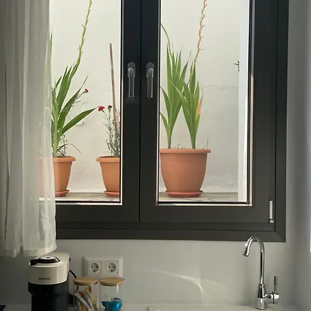 Aplomata Naxos *